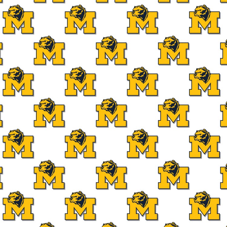 University of Michigan Wolverines 22