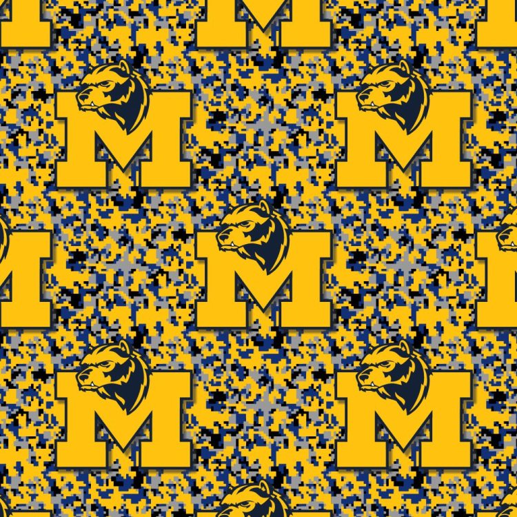 University of Michigan Wolverines 23