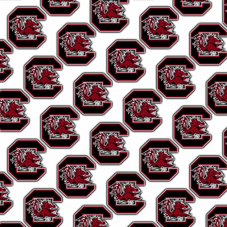 University of South Carolina Gamecocks 23