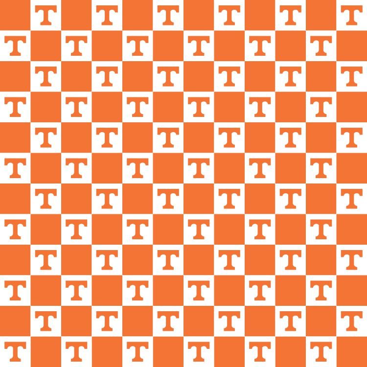 University of Tennessee 22