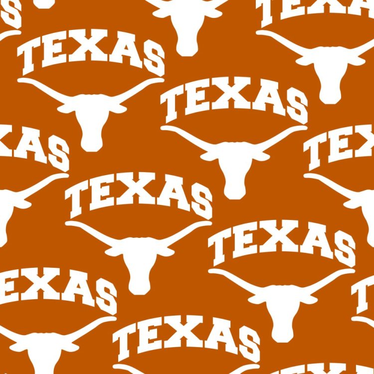University of Texas Longhorns 24