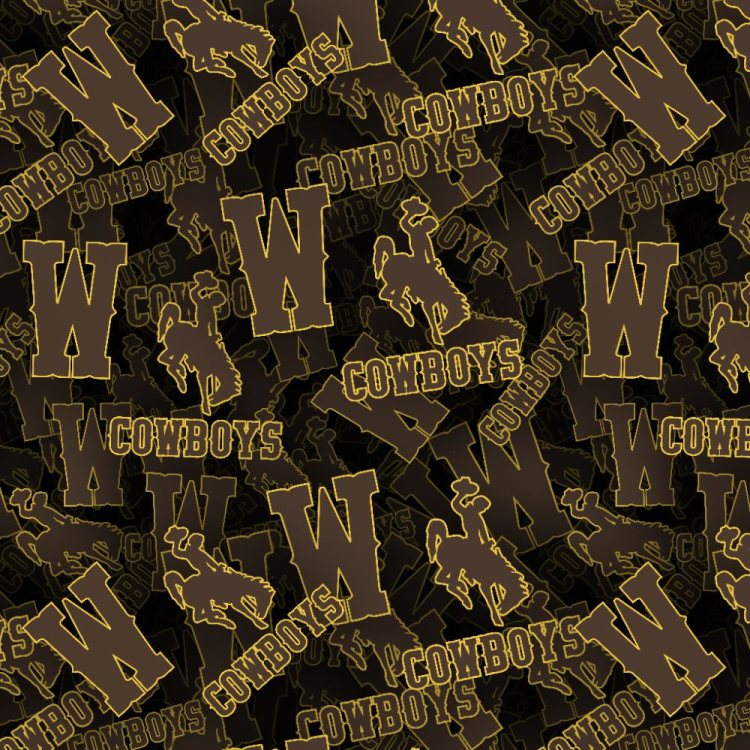 University of Wyoming Cowboys 22