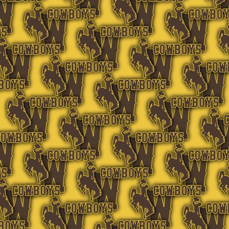 University of Wyoming Cowboys 23