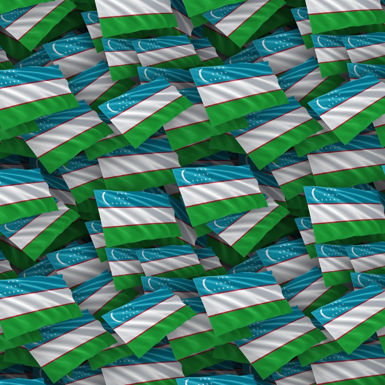 Uzbekistan Flag