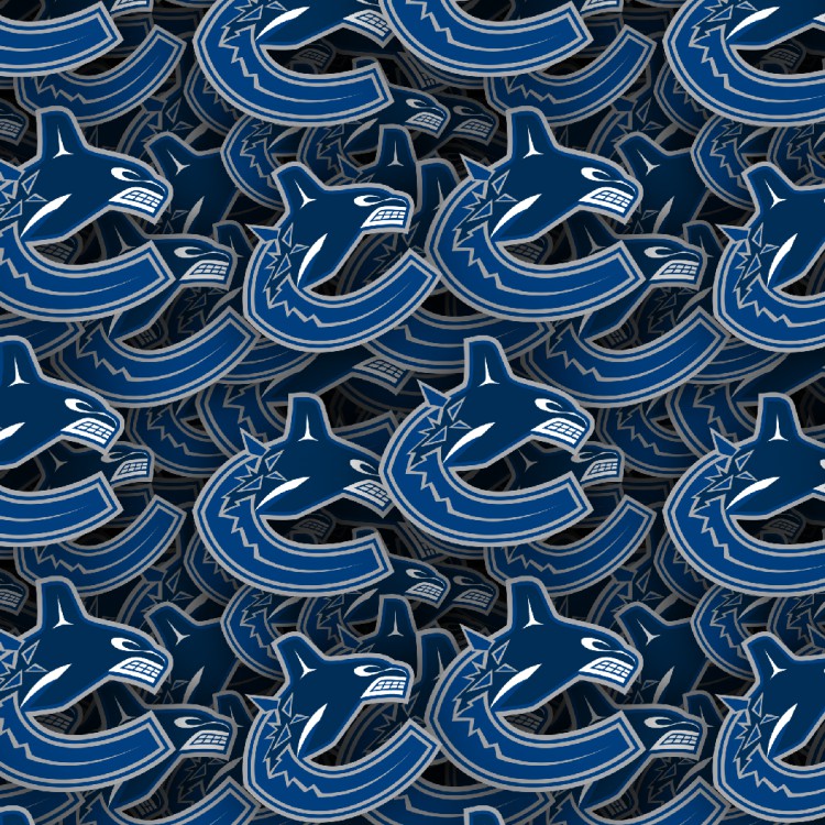 Vancouver Canucks 22