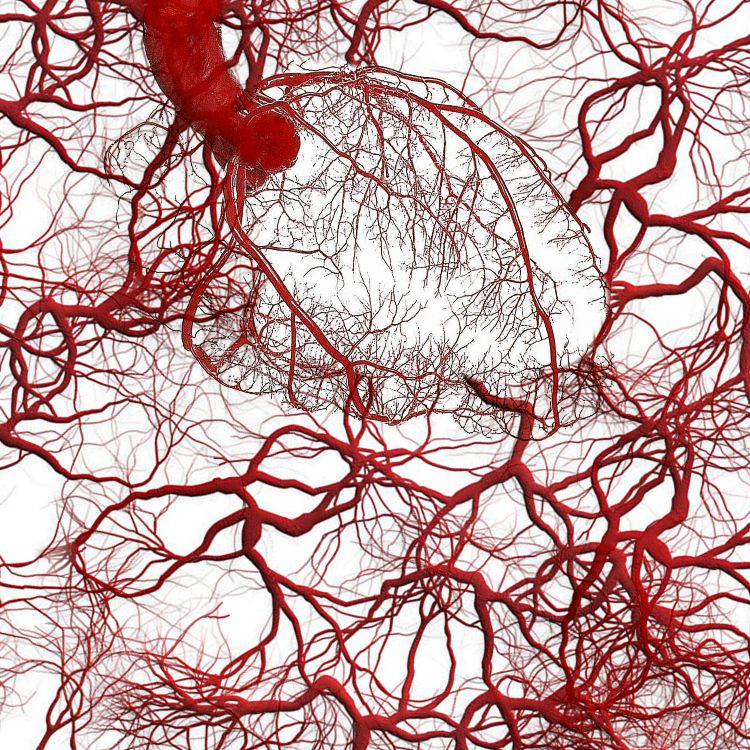 Vein Map 21