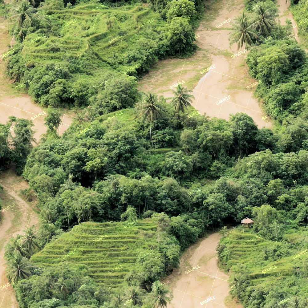 VietNam Terrace Farming
