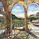 Vineyard-42