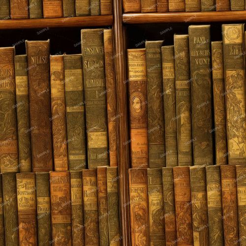 Vintage Bookshelf 43