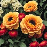 Vintage-Floral-51