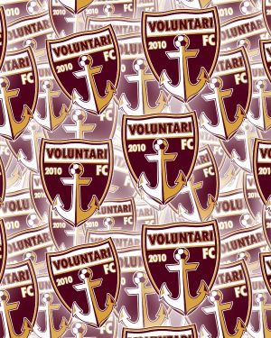 Voluntari