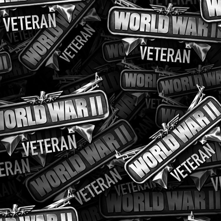 WW2 War Veteran 22