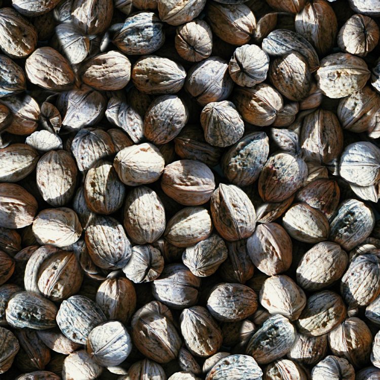 Walnuts