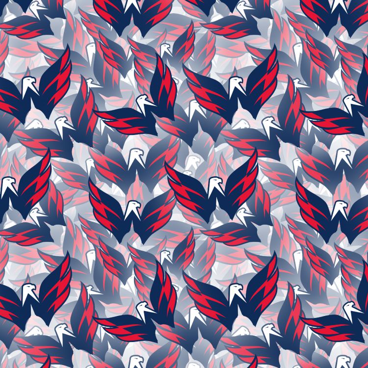 Washington Capitals 22