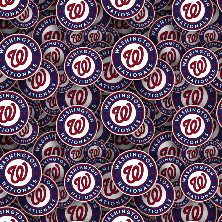 Washington Nationals 22
