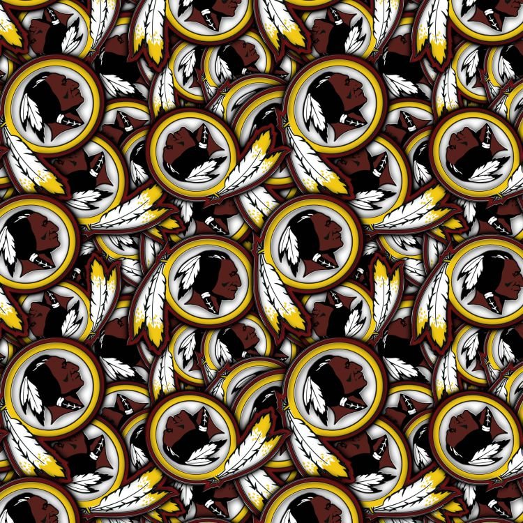Washington Redskins 22