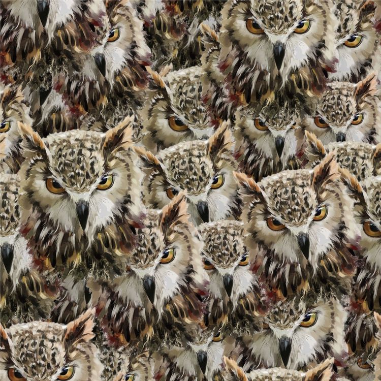 Watching Owls
