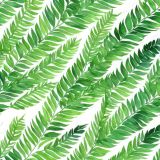 Watercolor-Fern-Fronds