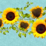 Watercolor-Sunflower-Border