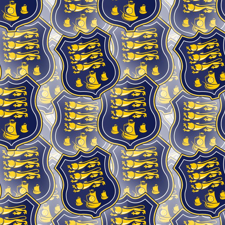 Waterford FC