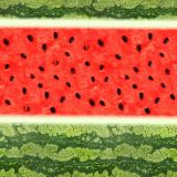 Watermelon-26
