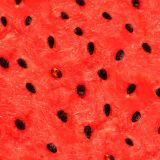 Watermelon-Flesh-23