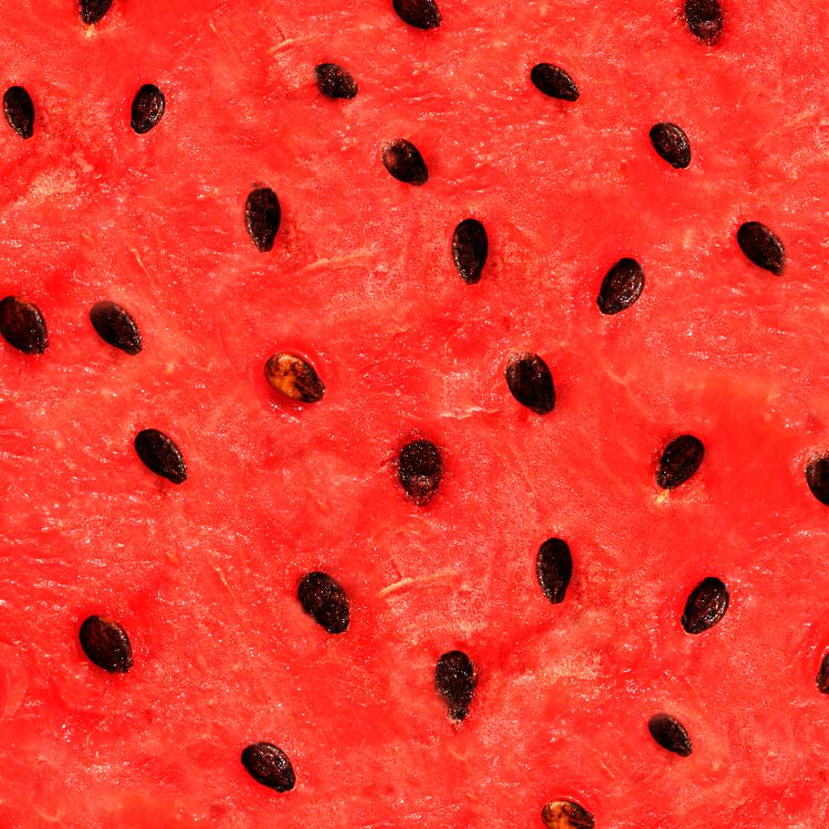 Watermelon Flesh 23