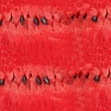 Watermelon-Flesh