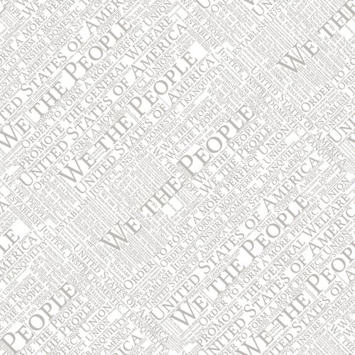 We The People Word Cloud 23