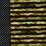 We-the-People-Flag-20