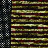 We-the-People-Flag-21