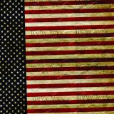 We-the-People-Flag-22
