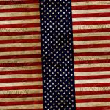 We-the-People-Flag-23