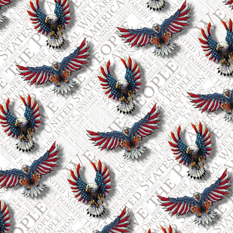 We the People Flag Eagles 24