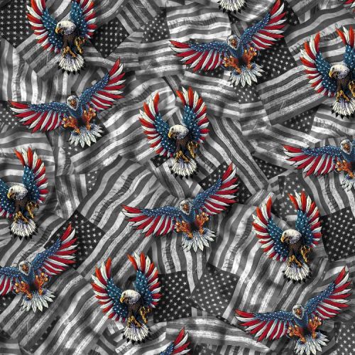 We the People Flag Eagles 25