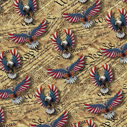 We the People Flag Eagles