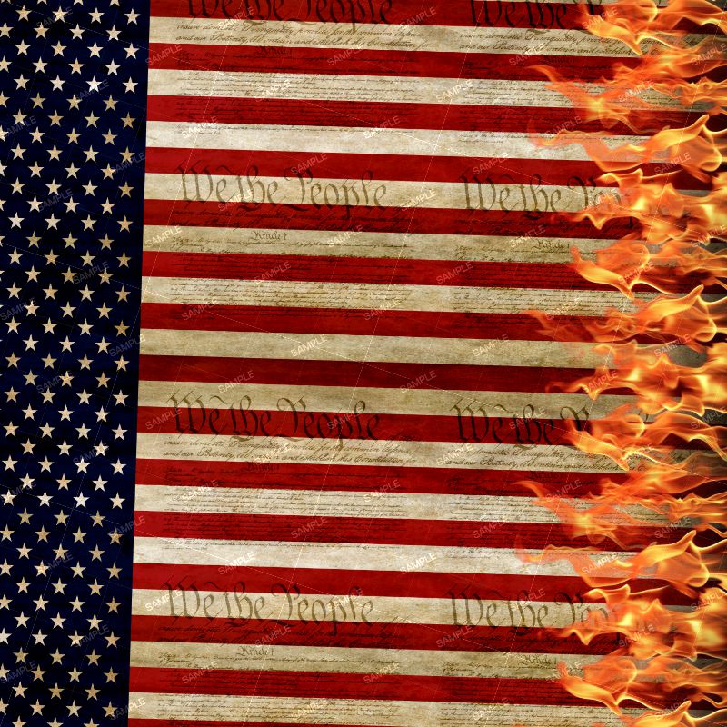 We the People Flag Flames 23