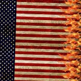 We-the-People-Flag-Flames-23