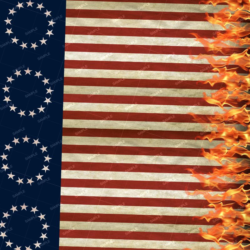We the People Flag Flames 25