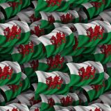 Welsh-Flag-22.jpg