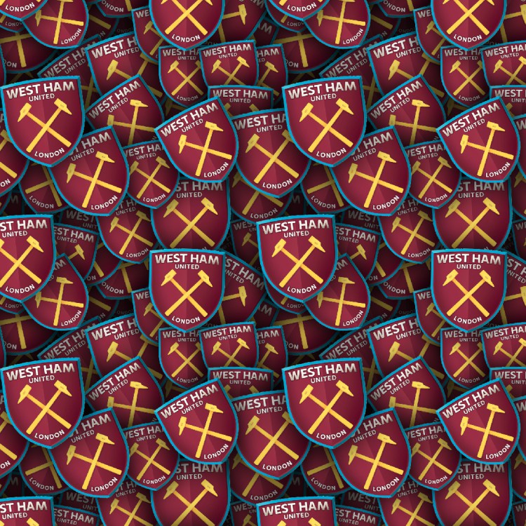 West Ham United FC 22