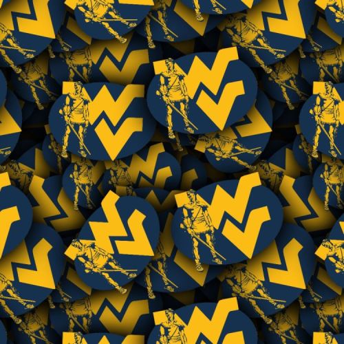 West Virginia University 24