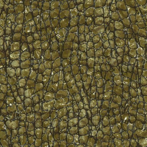 Wet Frog Skin