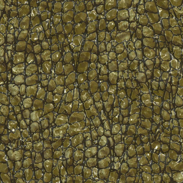Wet Frog Skin