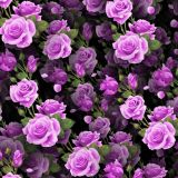 Wet-Lavender-Roses