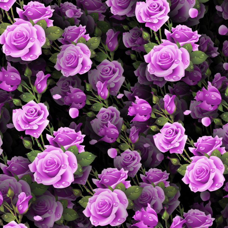 Wet Lavender Roses