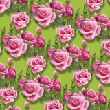 Wet-Pink-Roses-18-thumb