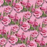 Wet-Pink-Roses-19-thumb