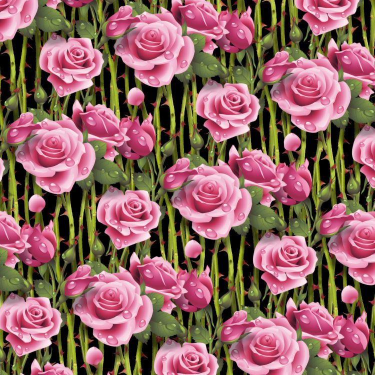 Wet Pink Roses 20