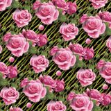 Wet-Pink-Roses-21-thumb